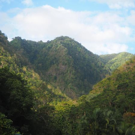 Fare Noanoa Hotel Paea Bagian luar foto