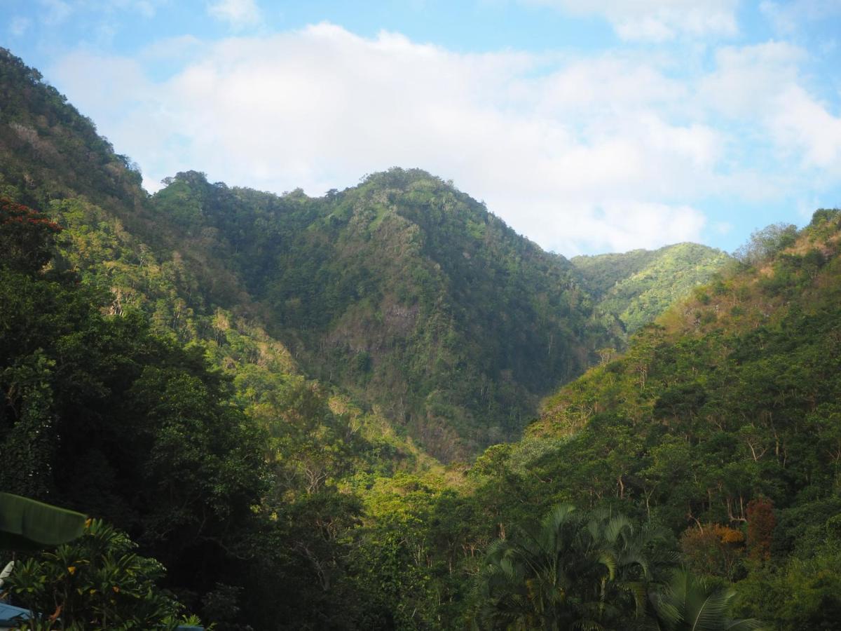 Fare Noanoa Hotel Paea Bagian luar foto